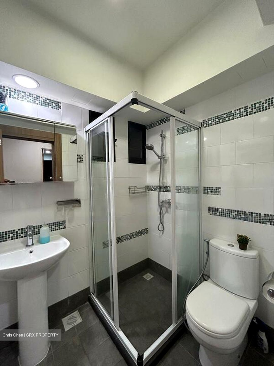 Blk 260B Punggol Topaz (Punggol), HDB 4 Rooms #550418971